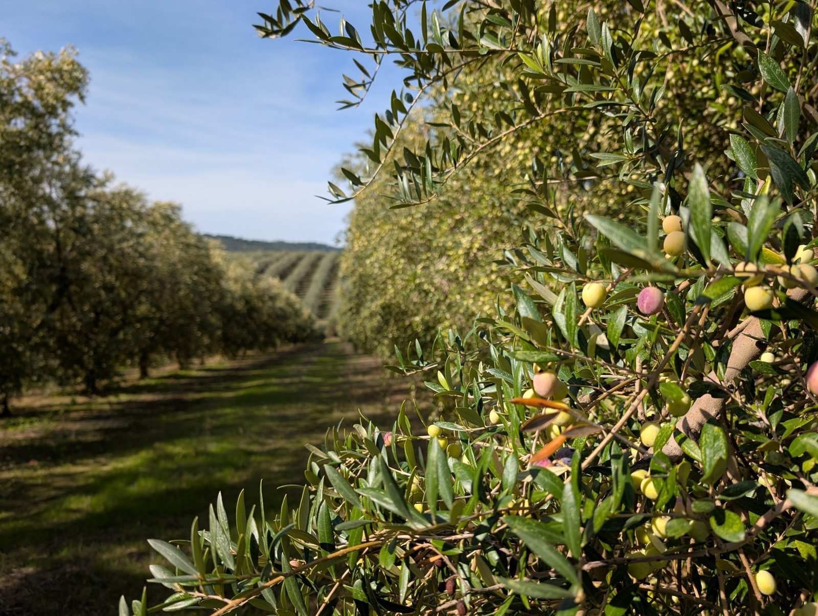 Imagen derecha arriba