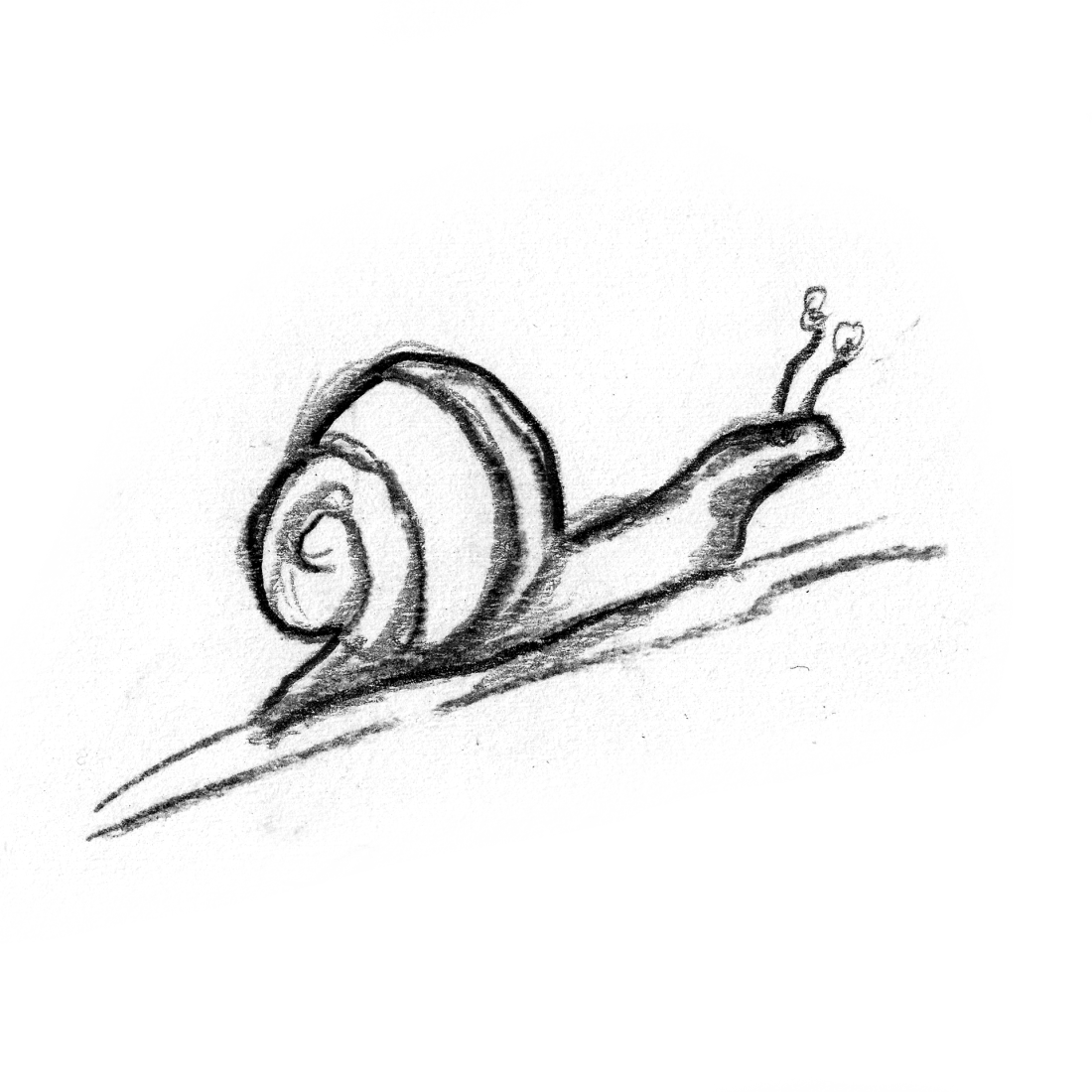 caracol